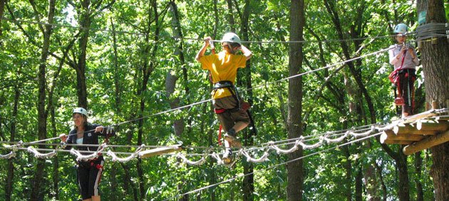 Tree climbing