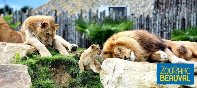 Zoo de Beauval