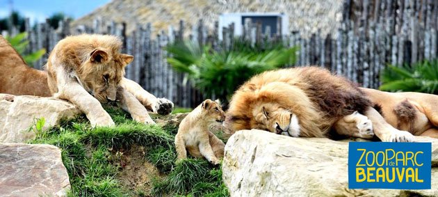 Beauval zoopark
