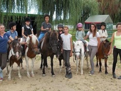 fun activites visits poney club fun-activities-visits_poney_club