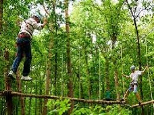 fun activities visites tree climbing fun-activities-visits_tree_climbing