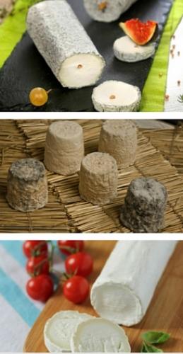 local produce cheese local-produce_cheese