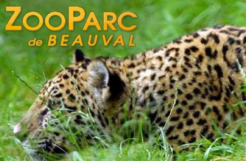 onze-regio beauval onze-regio_beauval