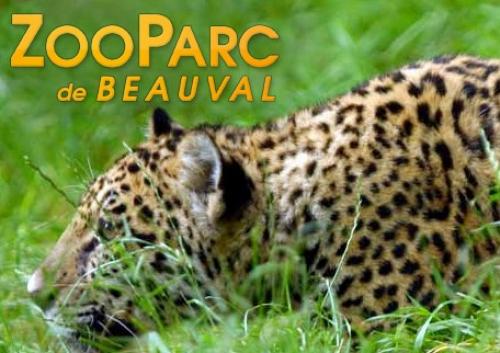 parcs-zoos-animaliers-beauval parcs-zoos-animaliers-beauval