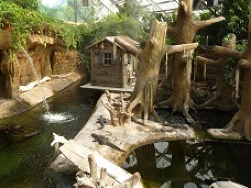 parcs-zoos-animaliers-planete-des-crocodiles parcs-zoos-animaliers-planete-des-crocodiles