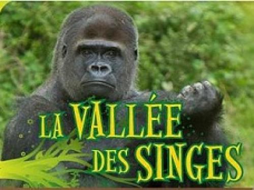 parcs-zoos-animaliers-vallée-des-singes